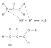 15516943549559.png 2.png